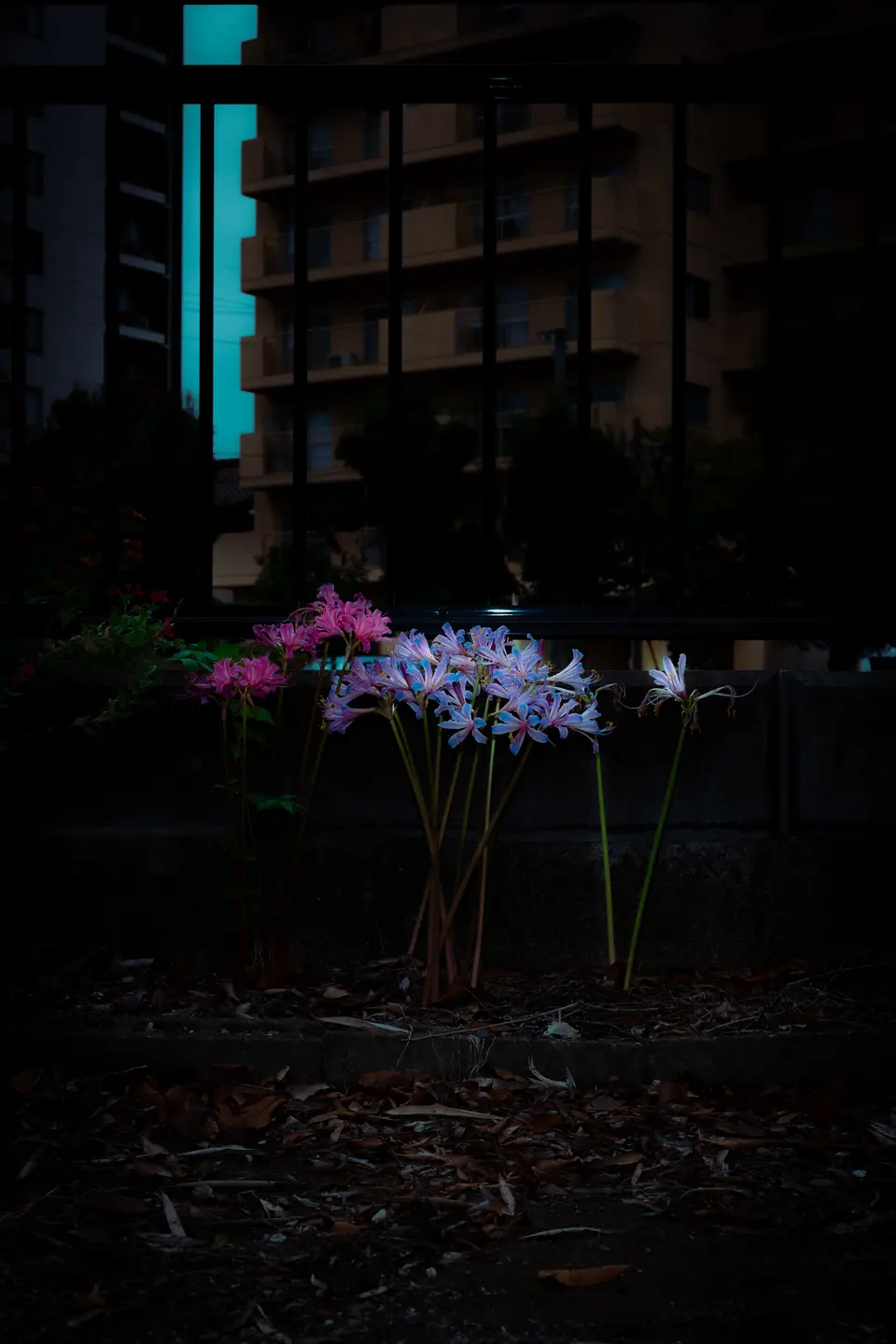 暗い空間を写した写真